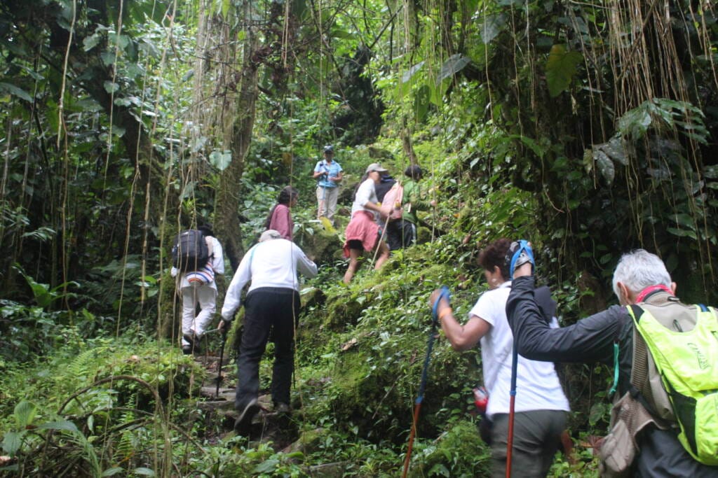 Ciudad Perdida en 3 días 3 Ciudad Perdida 3 días - sendero para llegar al sitio arqueológico