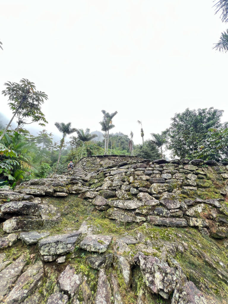 Terrazas de Ciudad Perdida